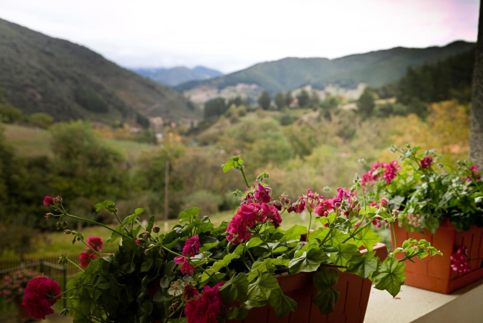 Viviendas Rurales Traldega Turieno ภายนอก รูปภาพ